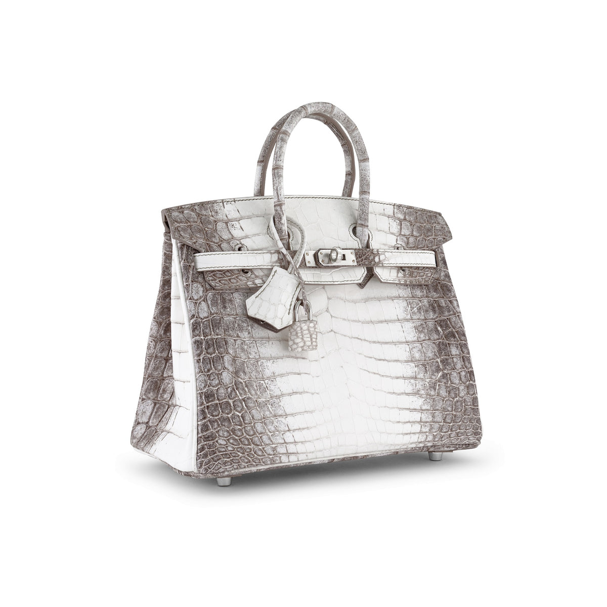 Himalaya Crocodile Birkin 25cm PHW