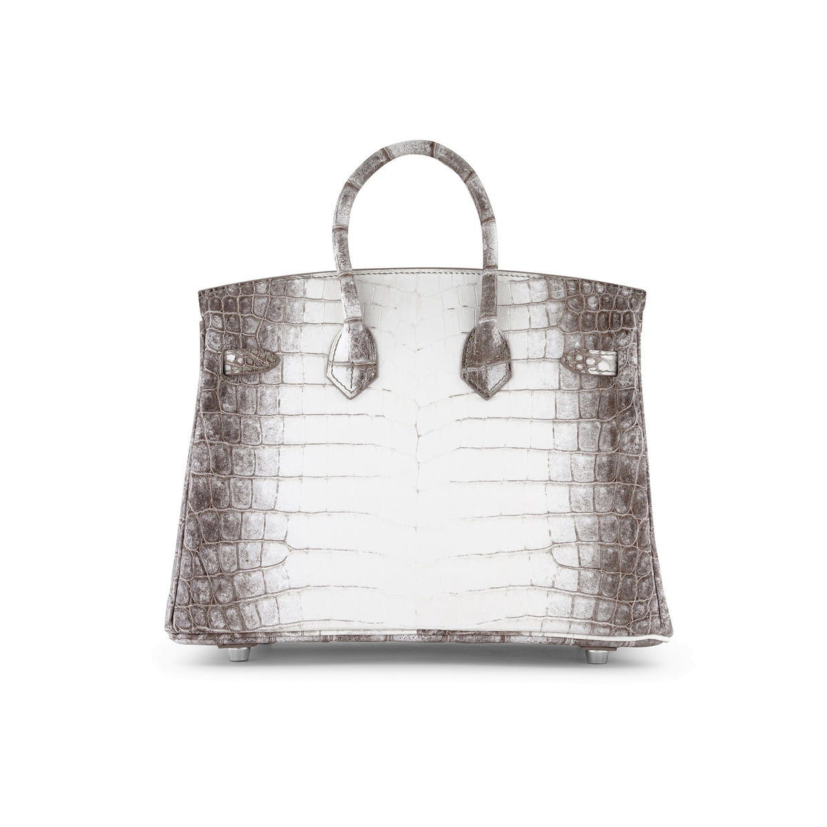 Himalaya Crocodile Birkin 25cm PHW