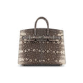 Lizard Ombre Birkin 20cm
